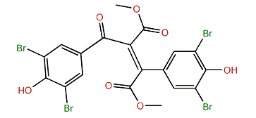 Synoilide A